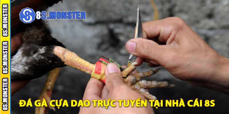 đá gà cựa dao trực tuyến tại nhà cái 8s