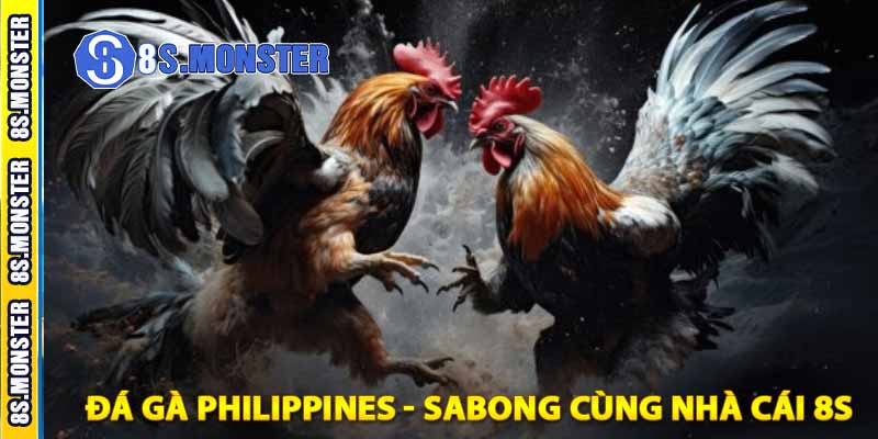 đá gà philippines - sabong cùng nhà cái 8s