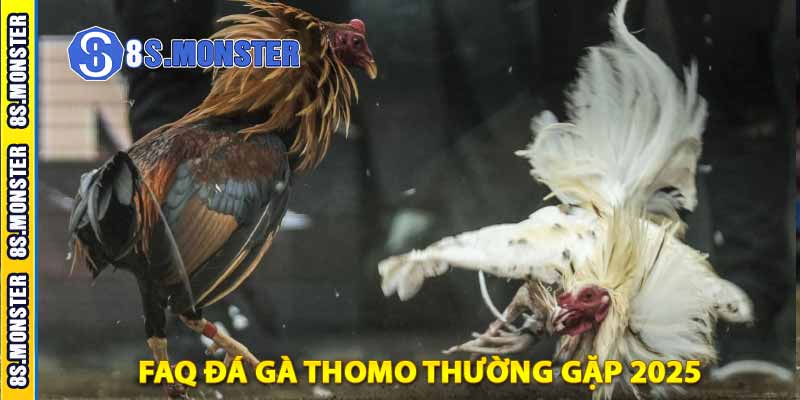 faq đá gà thomo thường gặp 2025