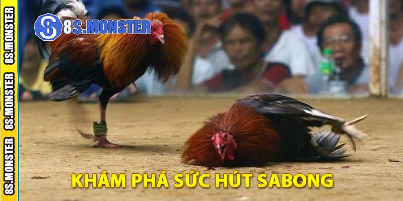 khám phá sức hút sabong 