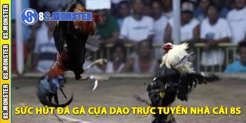 sức hút đá gà cựa dao trực tuyến nhà cái 8s